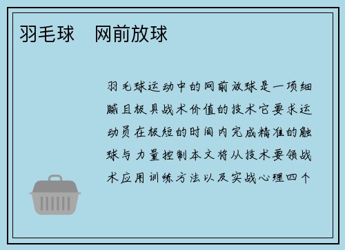 羽毛球   网前放球