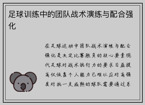 足球训练中的团队战术演练与配合强化